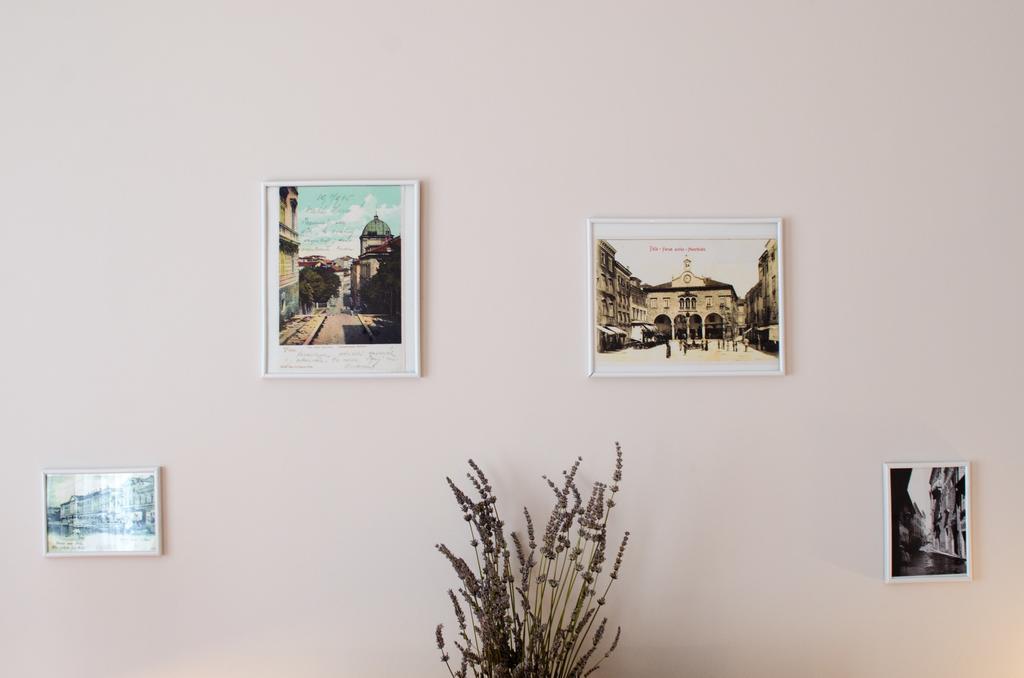 Lavender - City Room With Free Parking