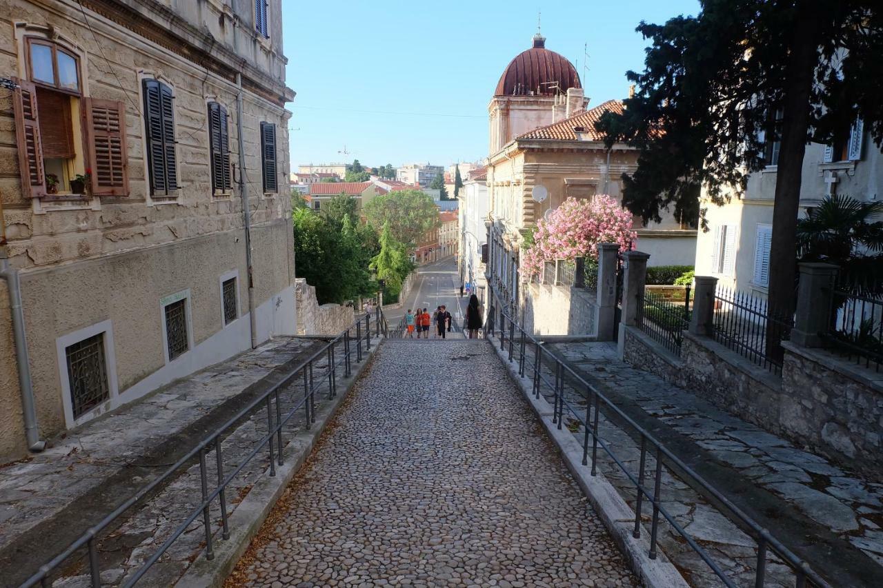 Lavender - City Room With Free Parking Gostinjska kuća